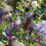 bd_20220518_dsc0281