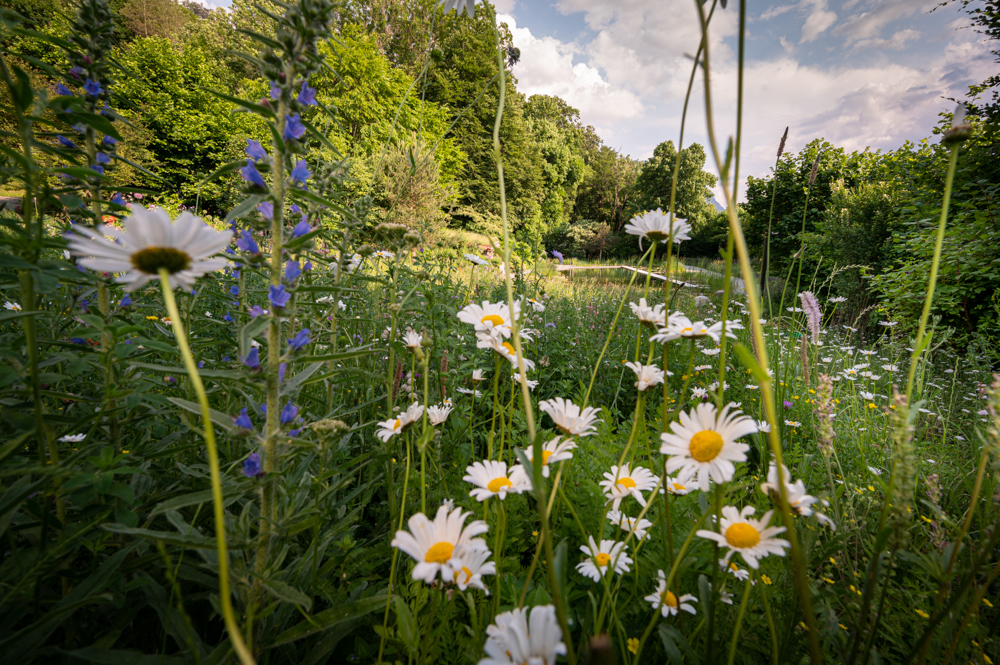 bd_vaduz_230602_043
