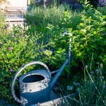hariyo_ein-garten-wie-aus-dem-bilderbuch-12