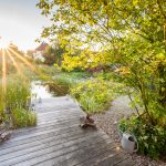 hariyo_ein-garten-wie-aus-dem-bilderbuch-3