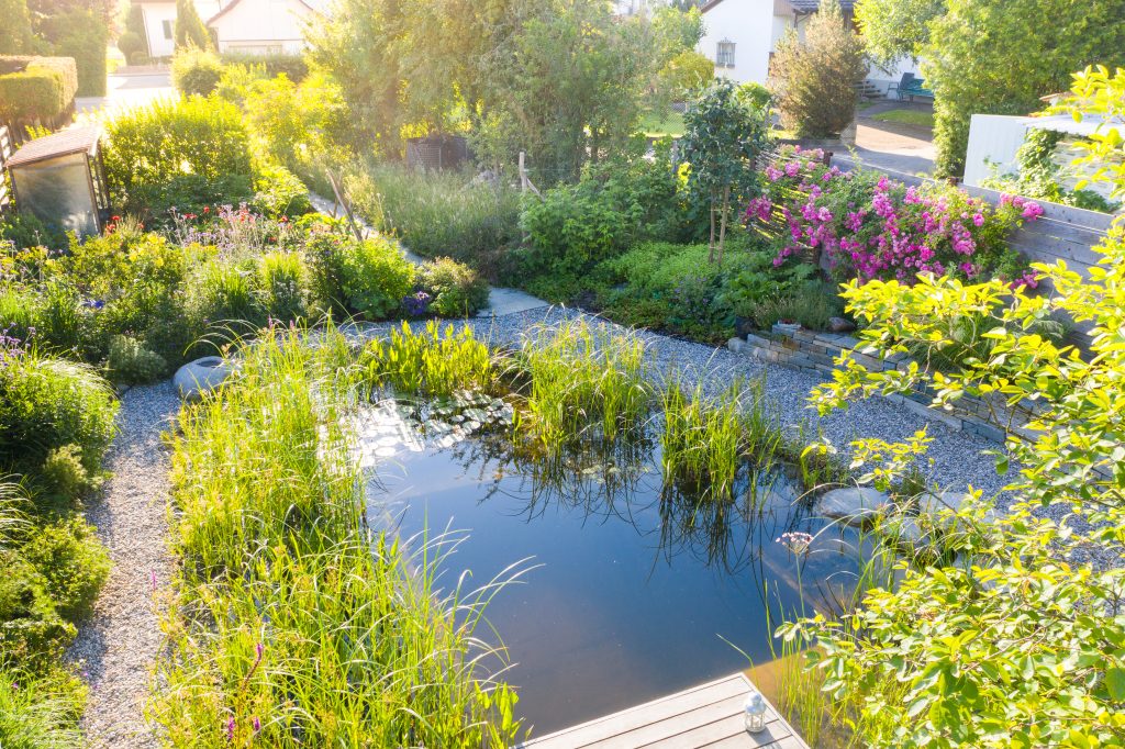 hariyo_ein-garten-wie-aus-dem-bilderbuch-4