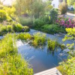 hariyo_ein-garten-wie-aus-dem-bilderbuch-4