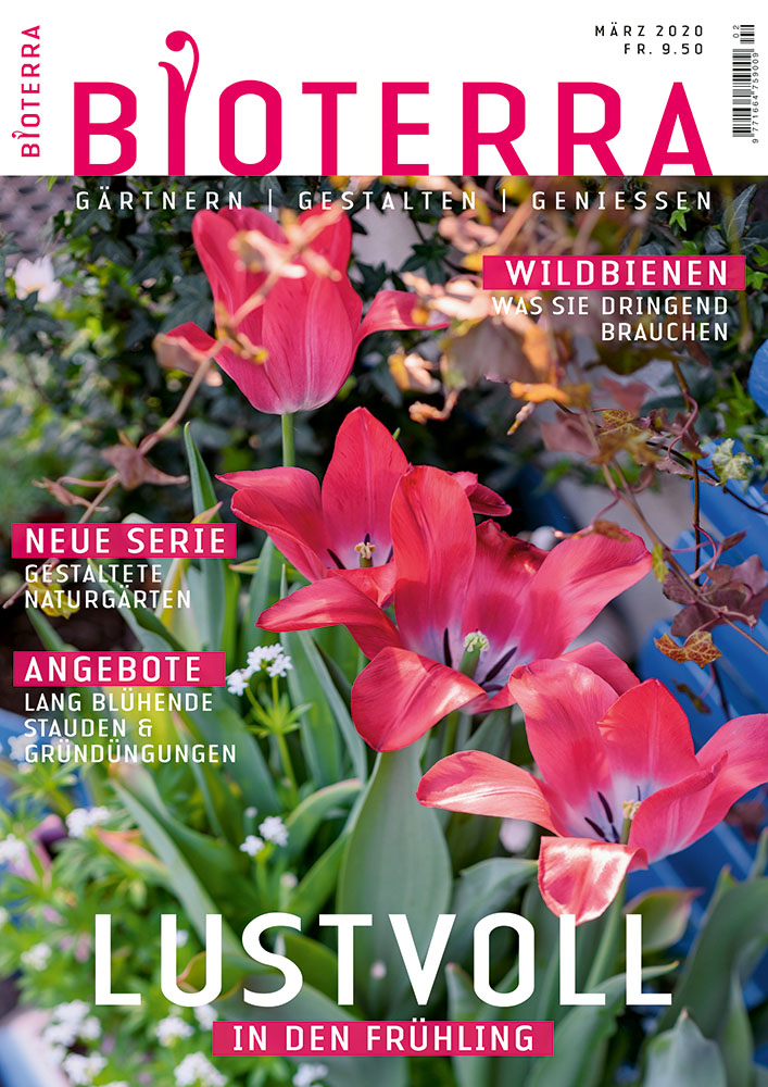 _01_bt_titel_wf02-indd