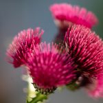 bd_210602__dsc0353