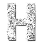 h-3