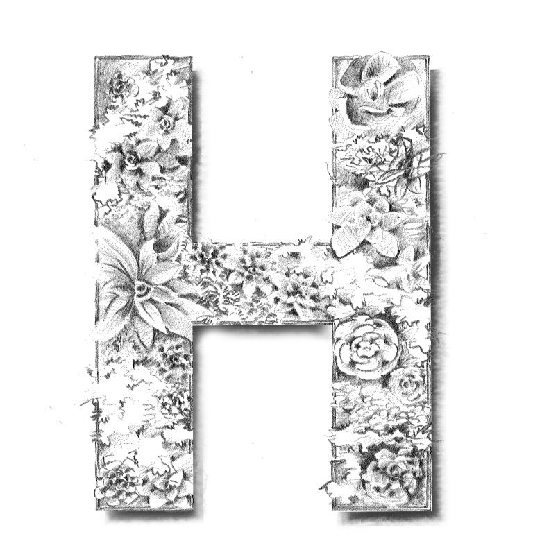 h-3